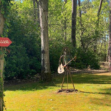 Villa Le petit poulailler au beau milieu des pins à Lacanau Extérieur photo