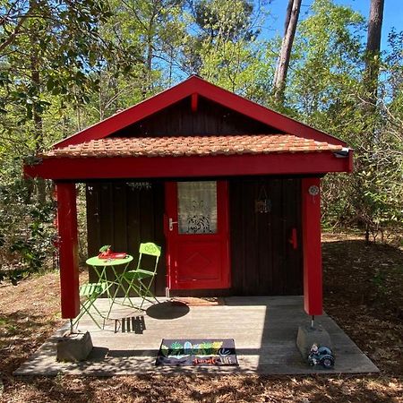 Villa Le petit poulailler au beau milieu des pins à Lacanau Extérieur photo