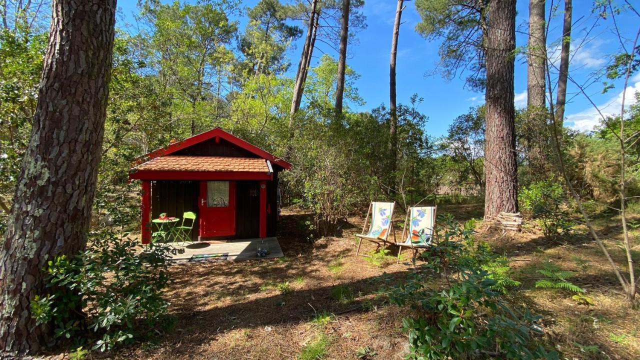 Villa Le petit poulailler au beau milieu des pins à Lacanau Extérieur photo