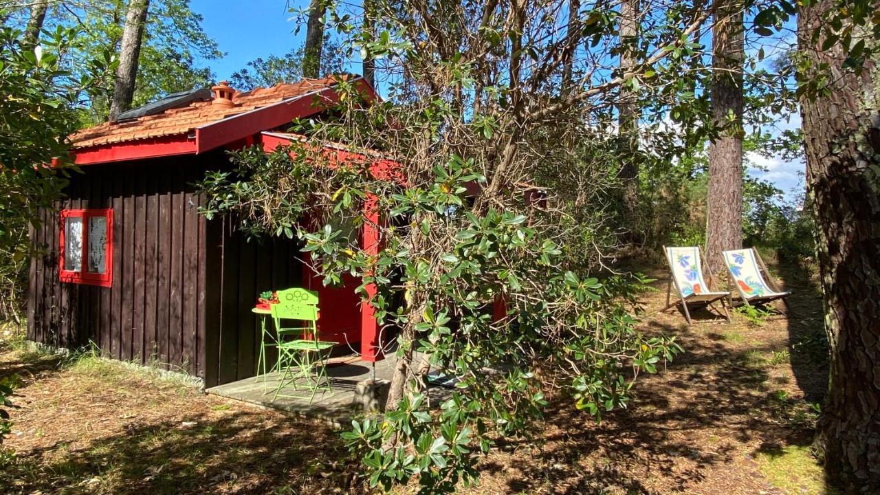 Villa Le petit poulailler au beau milieu des pins à Lacanau Extérieur photo