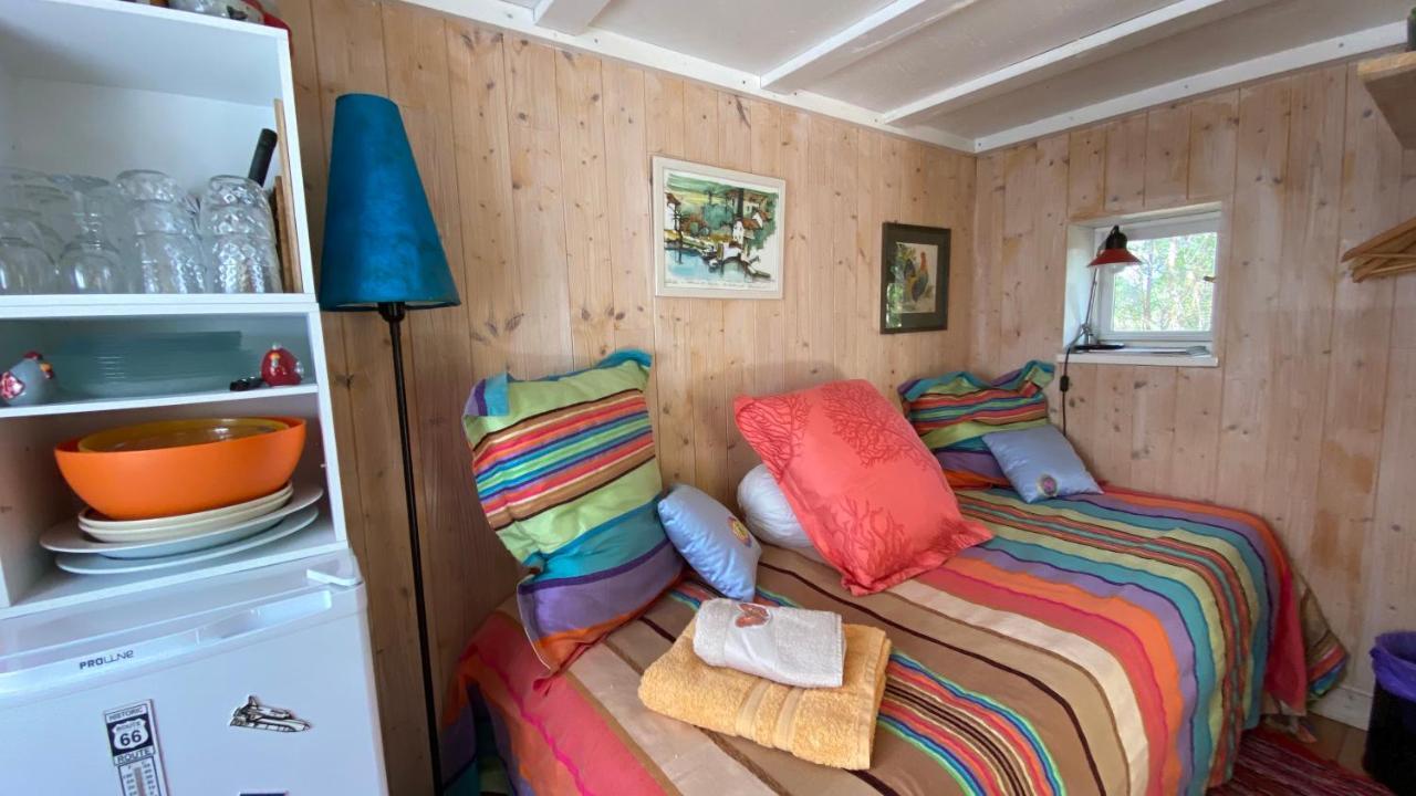 Villa Le petit poulailler au beau milieu des pins à Lacanau Extérieur photo