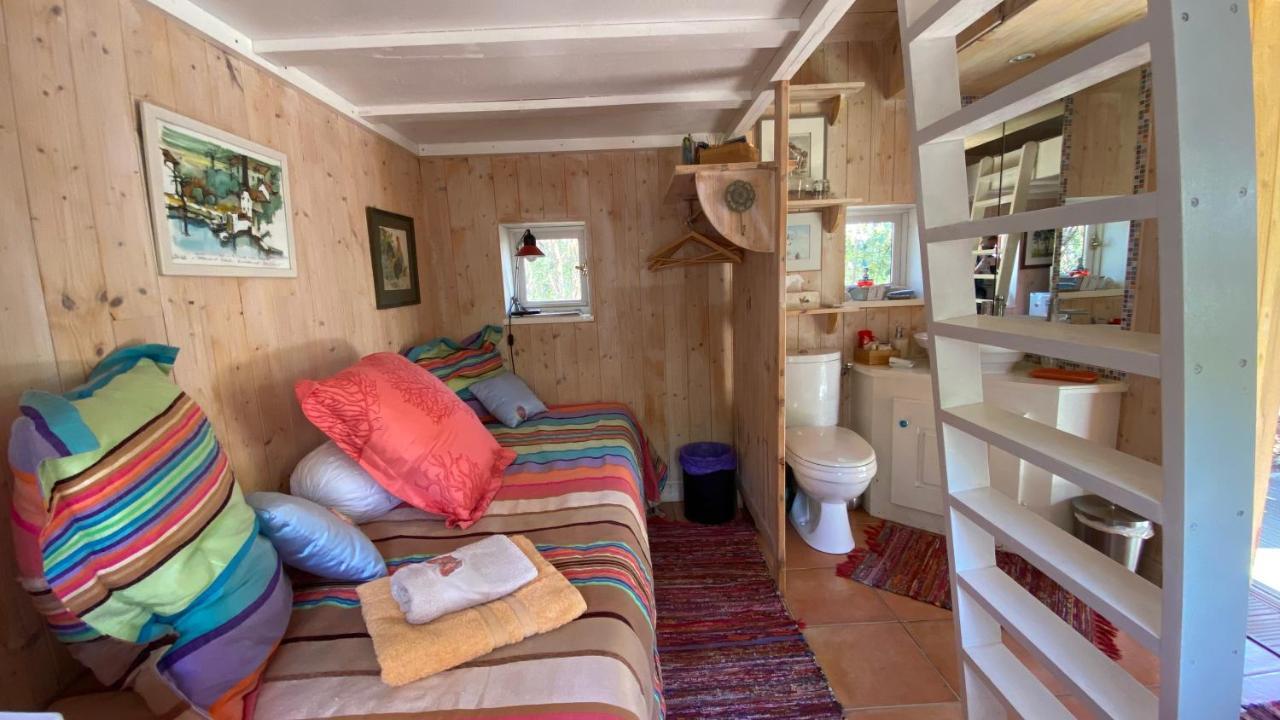 Villa Le petit poulailler au beau milieu des pins à Lacanau Extérieur photo