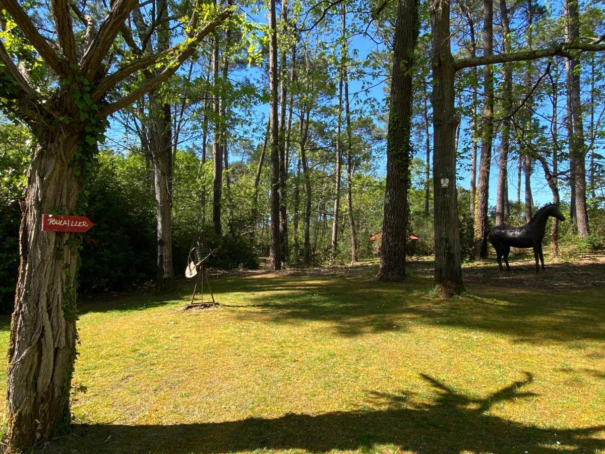Villa Le petit poulailler au beau milieu des pins à Lacanau Extérieur photo