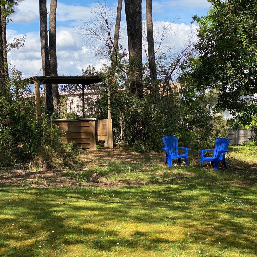 Villa Le petit poulailler au beau milieu des pins à Lacanau Extérieur photo