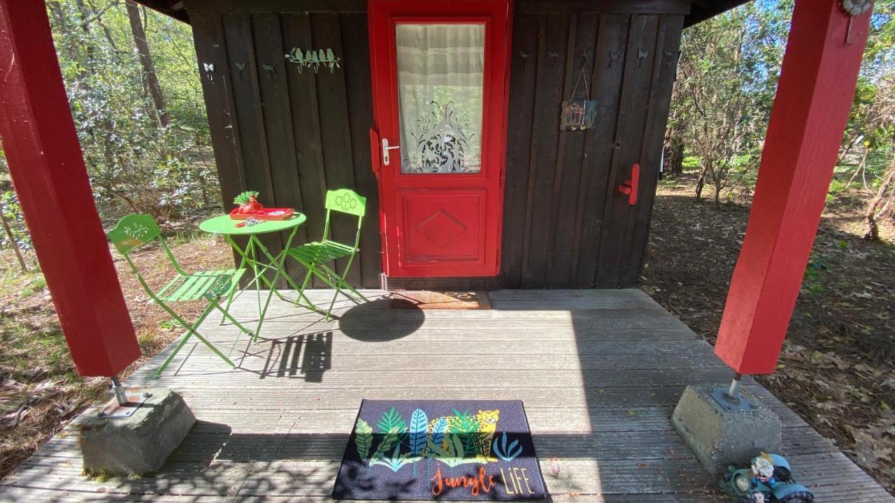Villa Le petit poulailler au beau milieu des pins à Lacanau Extérieur photo