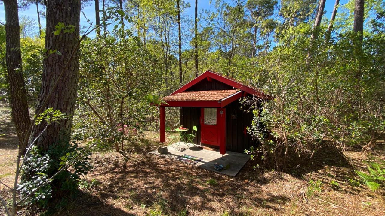 Villa Le petit poulailler au beau milieu des pins à Lacanau Extérieur photo
