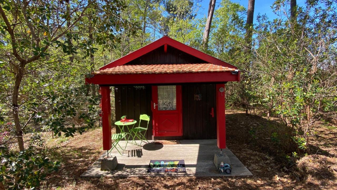 Villa Le petit poulailler au beau milieu des pins à Lacanau Extérieur photo