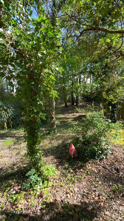Villa Le petit poulailler au beau milieu des pins à Lacanau Extérieur photo