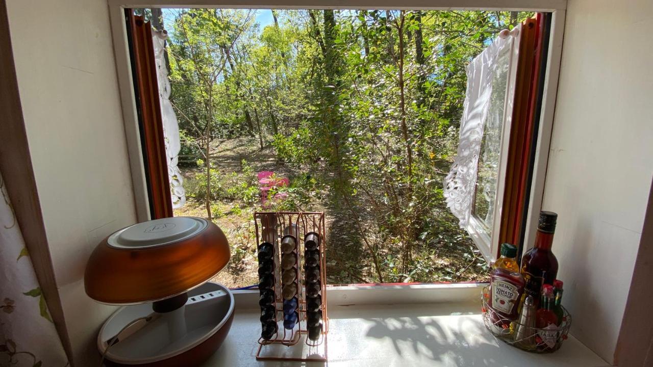Villa Le petit poulailler au beau milieu des pins à Lacanau Extérieur photo