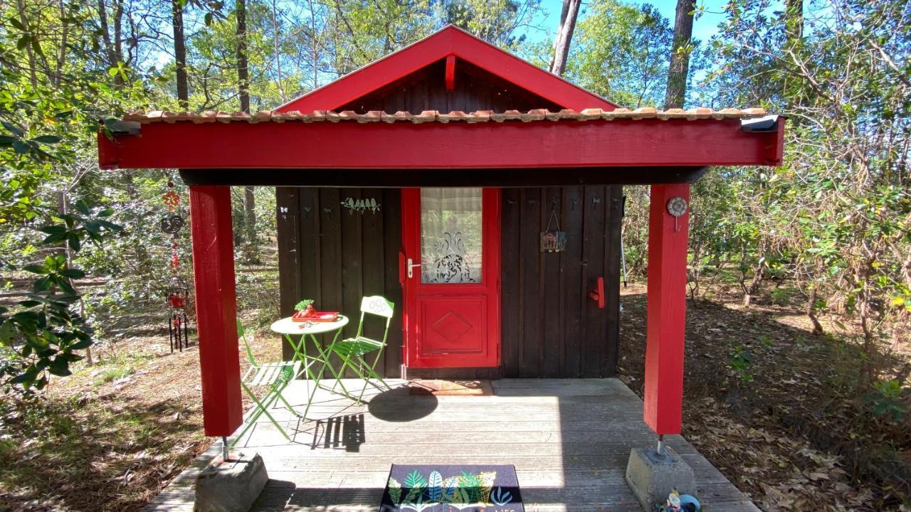 Villa Le petit poulailler au beau milieu des pins à Lacanau Extérieur photo