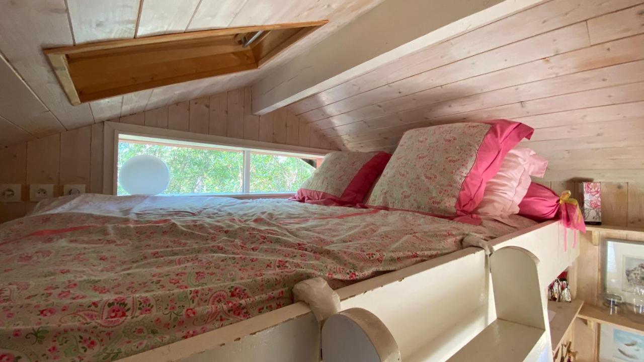 Villa Le petit poulailler au beau milieu des pins à Lacanau Extérieur photo