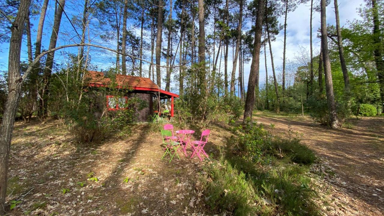 Villa Le petit poulailler au beau milieu des pins à Lacanau Extérieur photo